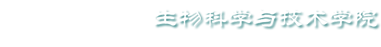 今年会官方网站